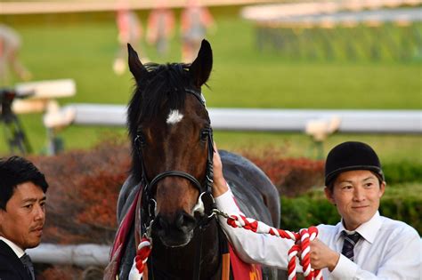 高松宮記念のうま吉無料軸馬予想を公開します。 #高松宮記念 #うま吉 #競馬予想 #重賞予想. 高松宮記念2019の予想オッズ・人気と注目の出走予定馬は？JRA ...
