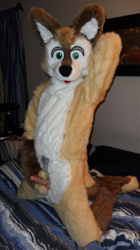 Fursuit Sex Trends Adult Free Pictures