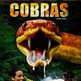 Cobras - Filme 2002 - AdoroCinema
