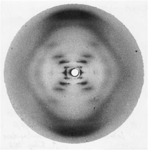 Rosalind Franklin And The Double Helix Physics Today Vol 56 No 3