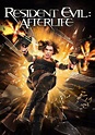 Film Resident Evil: Afterlife (2010) - Gdzie obejrzeć | Netflix ...