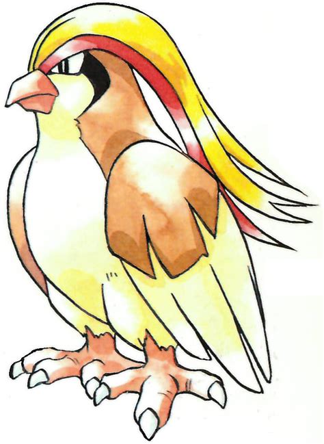 The Pidgeot Pokémon Game Art Hq