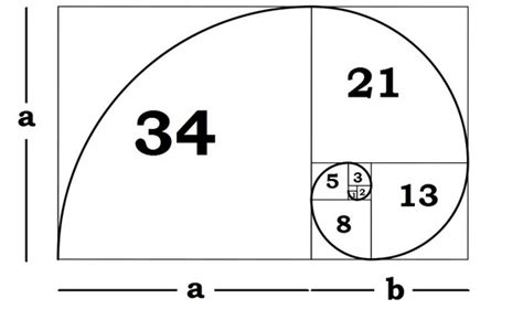The Golden Ratio Brilliant Math And Science Wiki