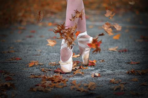 Dance In The Fall Wind Photograph By Rob Li