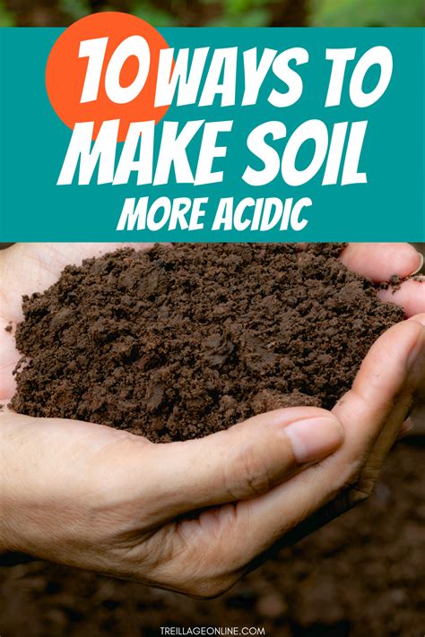 How To Make Soil More Acidic 10 Methods Soil Improvement Soil