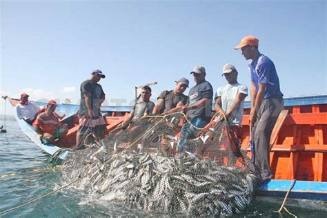 Faenas De Pesca Se Desarrollan Sin Contratiempos En El Pacífico De