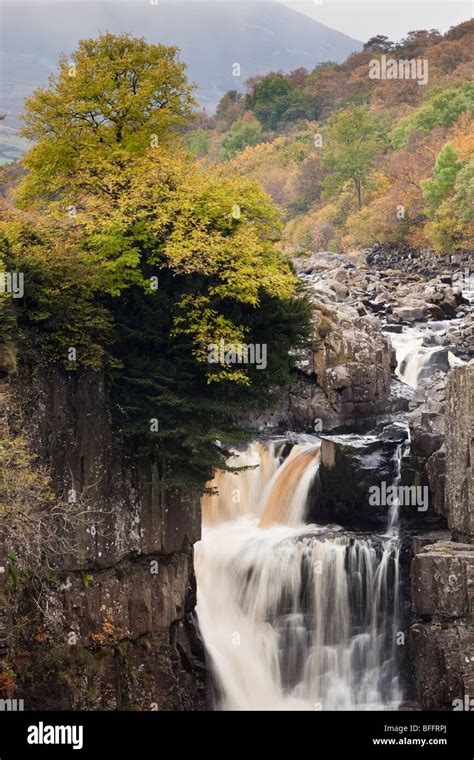 High Force Waterfall At Autumn Near Middleton In Teesdale Teesdale