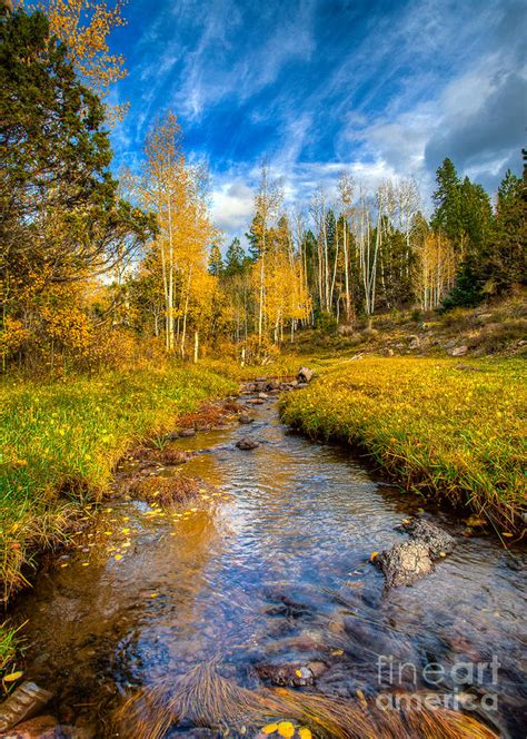 Autumn In Yankee Meadows Photograph By Carl Jackson Fine Art America