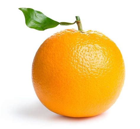 Hesperidium Fruit Orange Orange Fruit