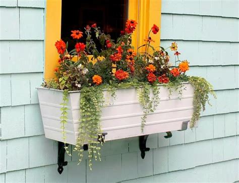 The Best Window Boxes Of 2023 Ph