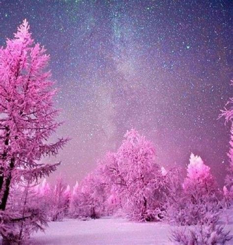 The Night Sky Is Filled With Stars And Trees Covered In Pink Frosty
