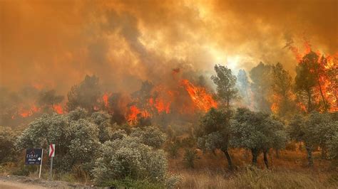 Muğla ve Adana da orman yangını