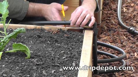 How To Install A Drip Irrigation System In Raised Beds Youtube