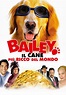 Bailey - Il cane più ricco del mondo - streaming