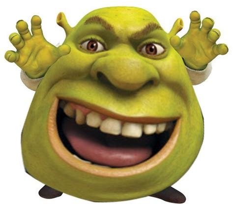 Pin By Niqisha Patel On Shrek Funny Shrek Funny Shrek Shrek Memes