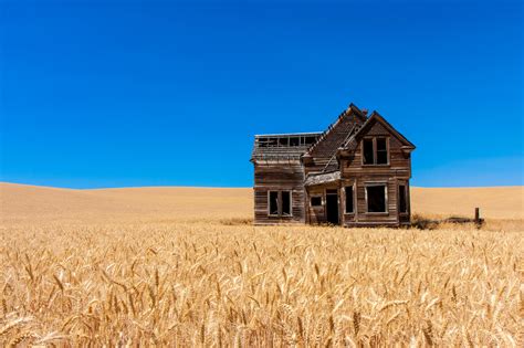 An Abandoned Home In The Middle Of A Wheat Field Pics