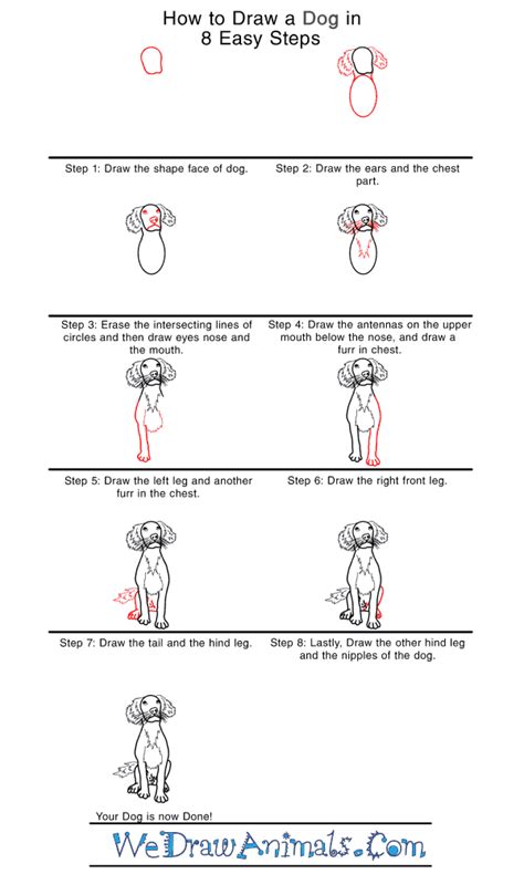 Be sure to add a small bump to the end of the long hook line. How to Draw a Realistic Dog