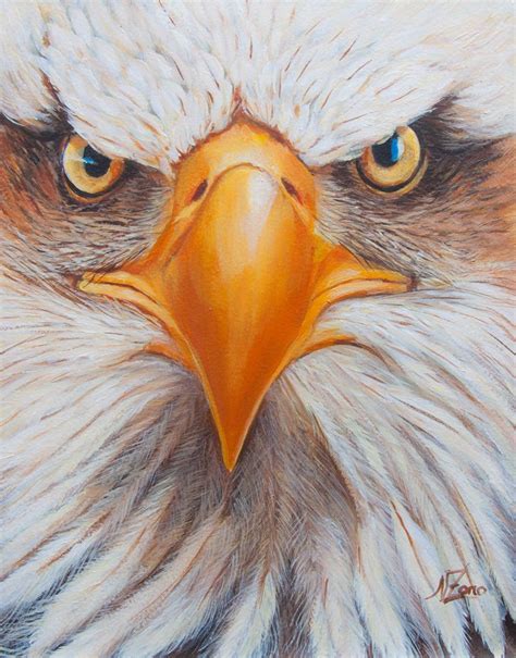Eagle Face Acrylic Painting By Norma Beatriz Zaro Eagle Face Eagle
