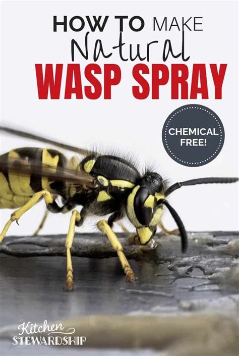 Honey bees are the only ones which store an appreciable amount of food, and overwinter in numbers. Pin on Insect and rodent control around house