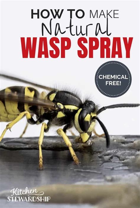 Honey bees are the only ones which store an appreciable amount of food, and overwinter in numbers. Pin on Insect and rodent control around house