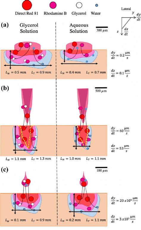 Schematic Drawing Of Solution Diffusion And Dispersion In The Topical