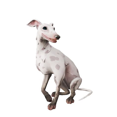 Ashpaw Whippet The Sea Of Thieves Wiki
