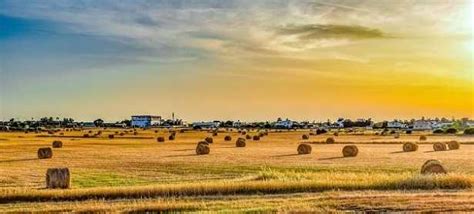 Essa continua a presentare alcuni fattori critici tradizionali, come. Agricoltura intensiva ed estensiva - Idee Green