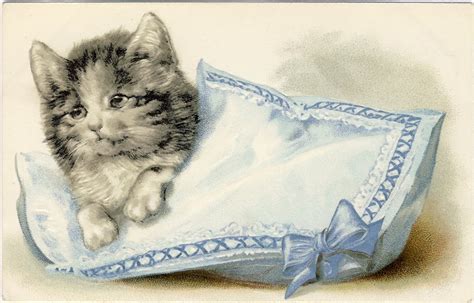 Baby drawing stock photos and images. Vintage Clip Art - Adorable Cats - Kittens - The Graphics ...