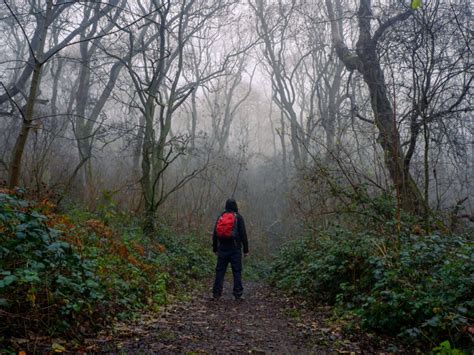 9 Spooky Forests Filled With Creepy Legends From Around The World