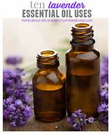 Lavender Oil Uses Pictures