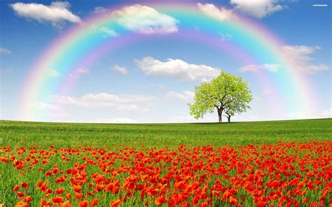 Rainbow Landscape Wallpapers Top Free Rainbow Landscape Backgrounds