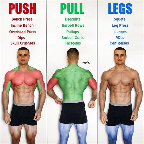6 Day Push Exercises Muscle Groups For Gym Fitness And Workout Abs