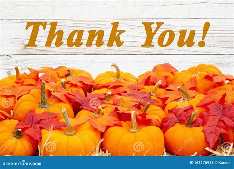 Thank You Message With Orange Pumpkins With Fall Leaves Stock Image