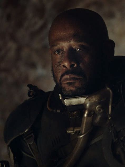 4 Things You Should Know About Saw Gerrera Before Seeing Rogue One