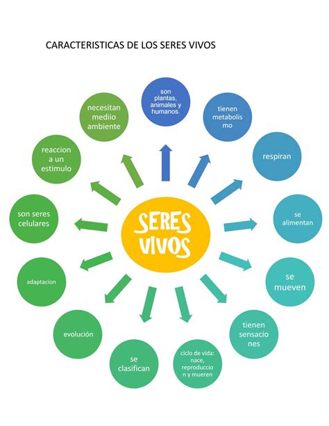 Caracteristicas De Los Seres Vivos By Lucero Garcia J Vrogue Co