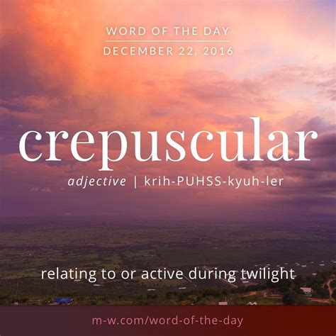 The Wordoftheday Is Crepuscular Merriamwebster Dictionary Language