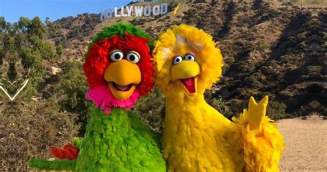 Big Bird Shows Kids His Cousins Of Different Colors From ...