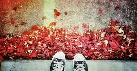 8 reasons why fall is the perfect time to fall in love with yourself