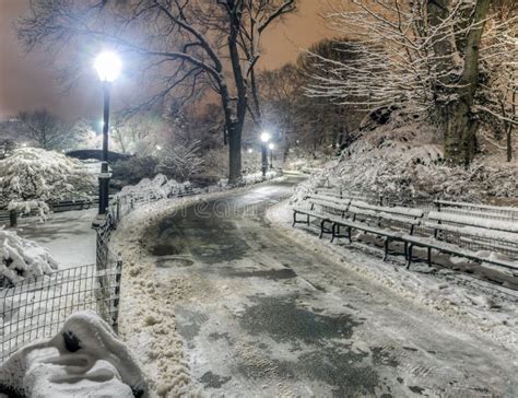 Winter Storm Central Park New York City Stock Photo Image Of Park