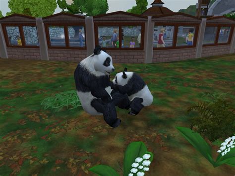 Giant Panda Zoo Tycoon Wiki Fandom Powered By Wikia