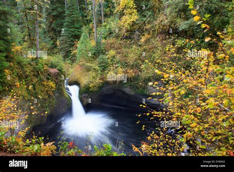 Usa Oregon Columbia River Gorge Punch Bowl Falls 35 Feet Stock