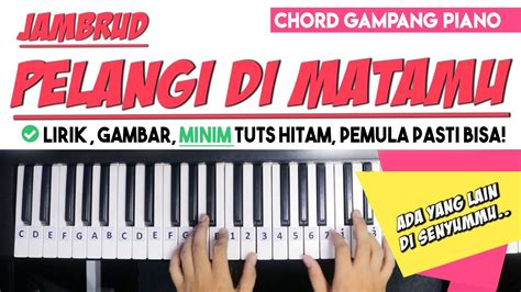 Chord Pelangi Dimatamu : Cover Lagu JAMRUD "PELANGI DIMATAMU" - YouTube