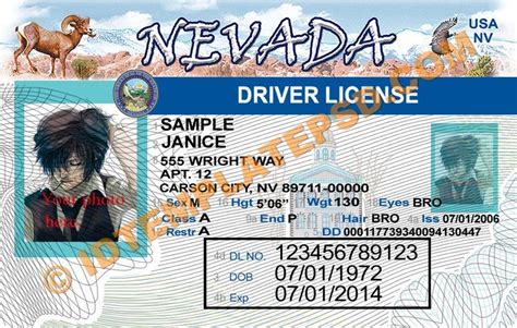 Free Nevada Drivers License Template Coinwes