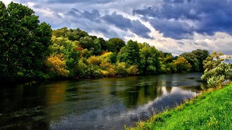 Hd Wallpaper Body Of Water And Green Leafed Trees River Forest