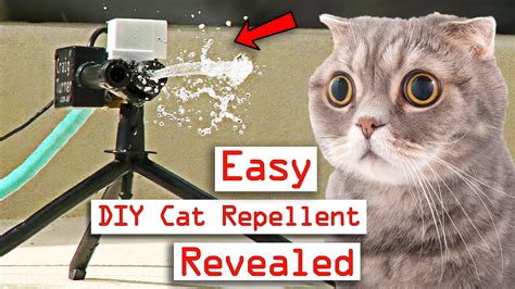 As a training aid indoors. How to Make a Cat Repellent Automatic Sprinkler - For ...