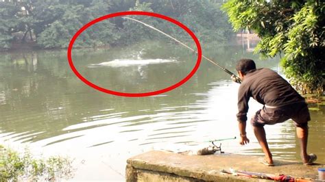 Click here to leave a review and improve this. Carp fish catch at dhanmondi lake in bd | lakes near me ...