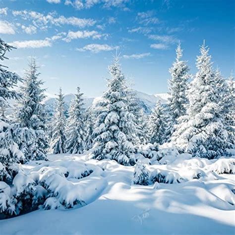 Aofoto 10x10ft Snowy Scenery Backdrop Forest Snow Tree