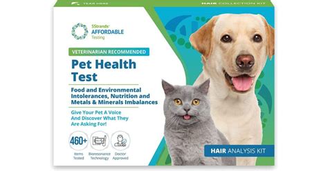 Best Dog Allergy Test Kits For Spaniels 2022 Features Price Buyers