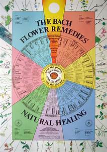 Natural Remedies Charts Google Search Bach Flower Remedies Flower