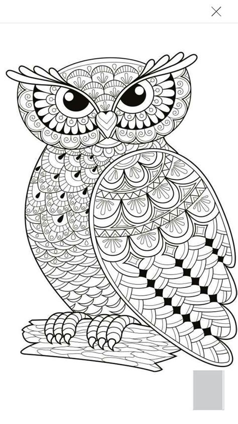 owl coloring pages images  pinterest owls coloring books  colouring pages